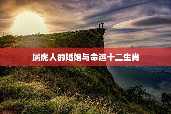 属虎人的婚姻与命运十二生肖