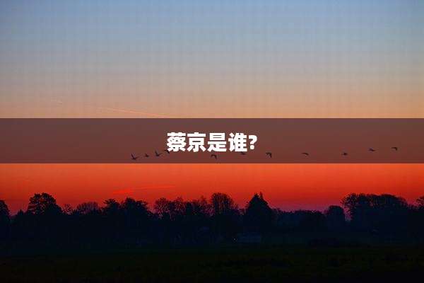 蔡京是谁?