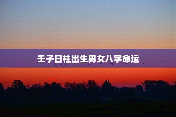 壬子日柱出生男女八字命运