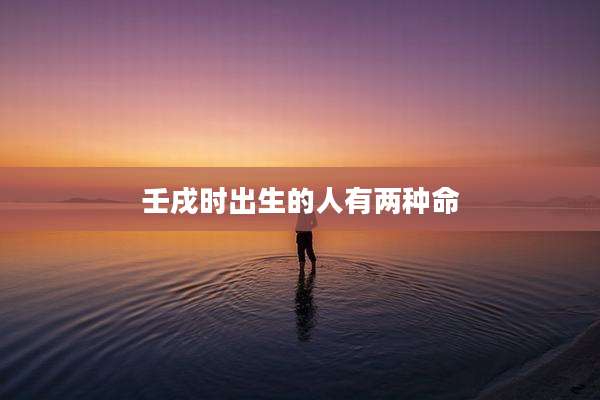 壬戌时出生的人有两种命