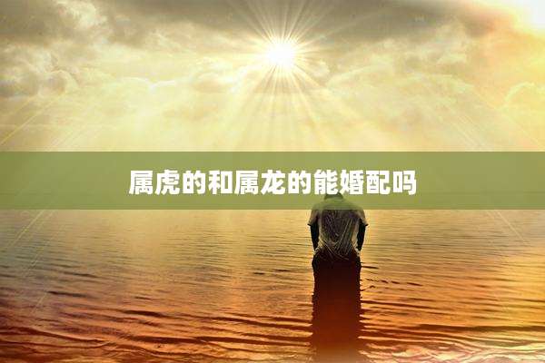 属虎的和属龙的能婚配吗