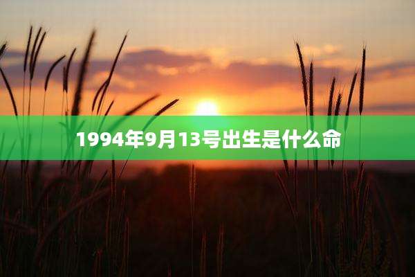 1994年9月13号出生是什么命