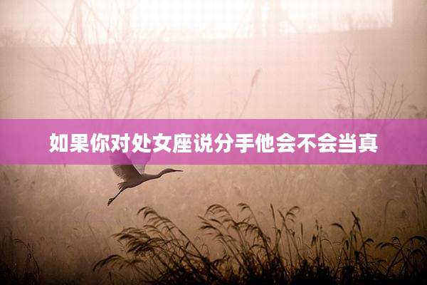 如果你对处女座说分手他会不会当真
