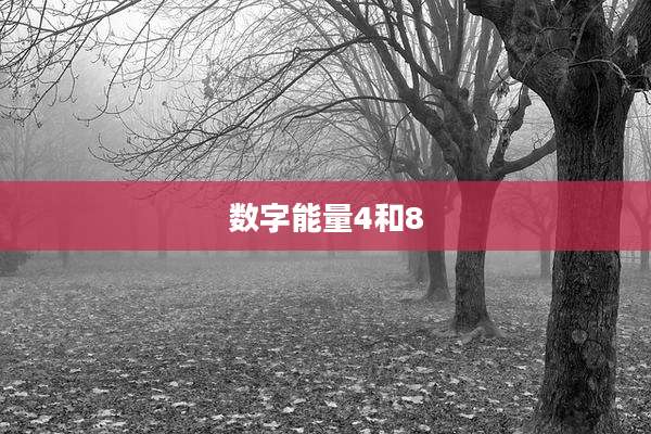 数字能量4和8