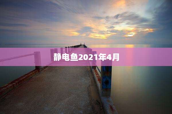 静电鱼2021年4月
