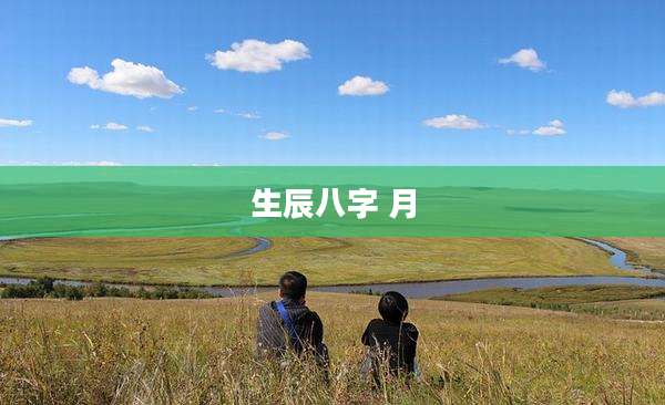 生辰八字 月
