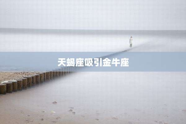 天蝎座吸引金牛座