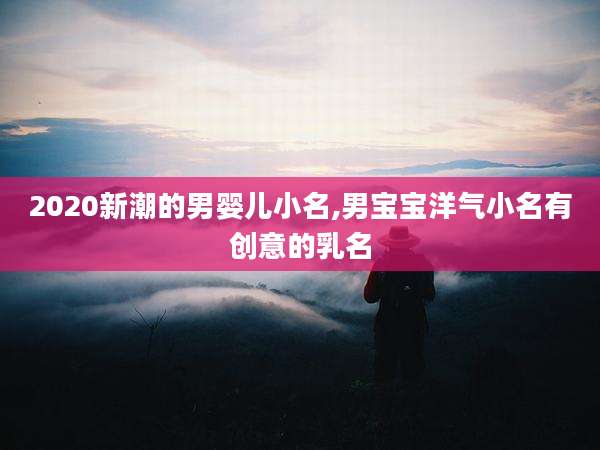 2020新潮的男婴儿小名,男宝宝洋气小名有创意的乳名