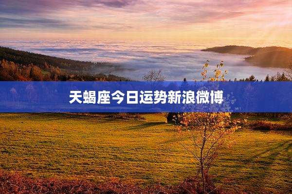 天蝎座今日运势新浪微博