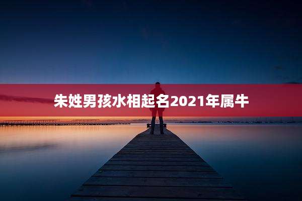 朱姓男孩水相起名2021年属牛
