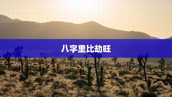 八字里比劫旺