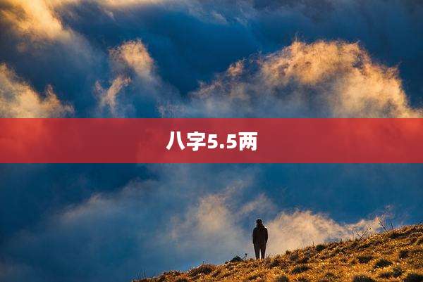 八字5.5两