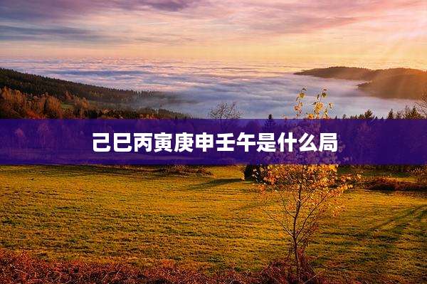 己巳丙寅庚申壬午是什么局