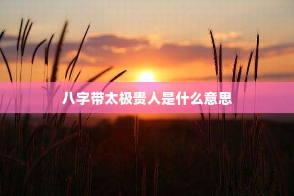 八字带太极贵人是什么意思