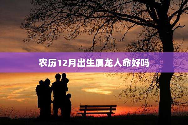 农历12月出生属龙人命好吗