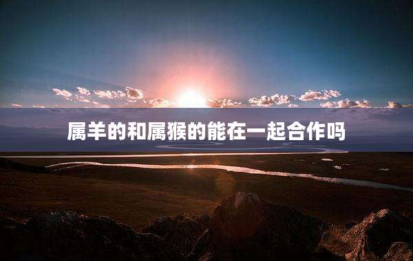 属羊的和属猴的能在一起合作吗