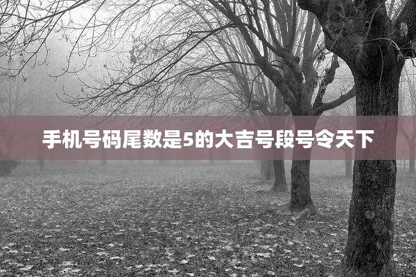 手机号码尾数是5的大吉号段号令天下