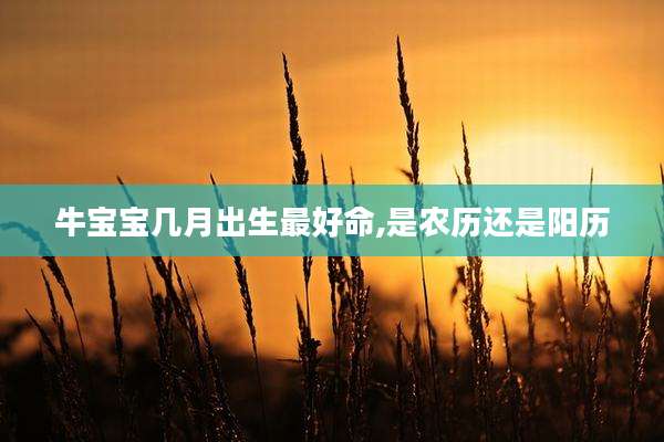 牛宝宝几月出生最好命,是农历还是阳历