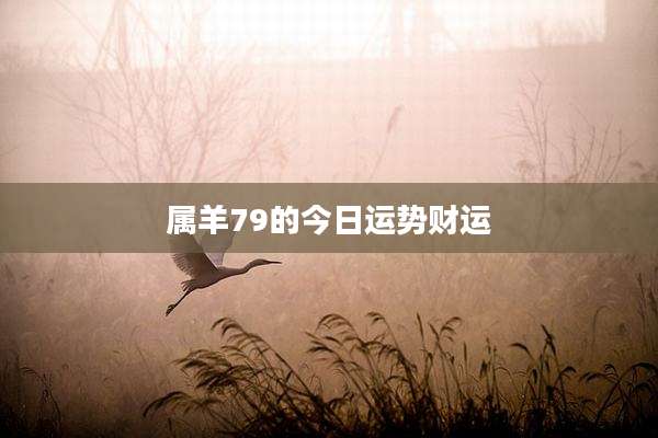 属羊79的今日运势财运