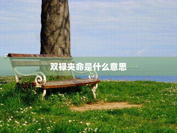 双禄夹命是什么意思