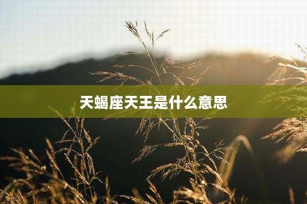 天蝎座天王是什么意思