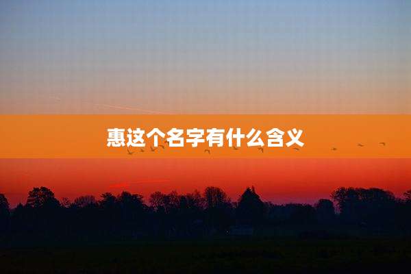惠这个名字有什么含义