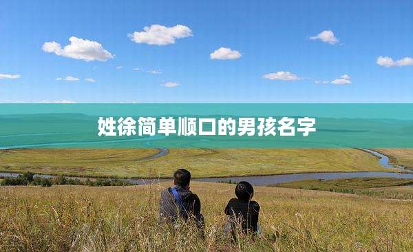 姓徐简单顺口的男孩名字