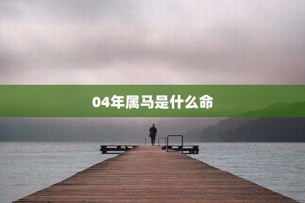 04年属马是什么命
