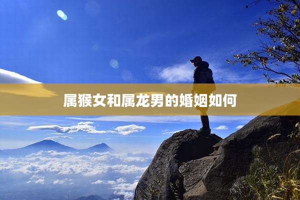 属猴女和属龙男的婚姻如何