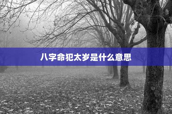 八字命犯太岁是什么意思