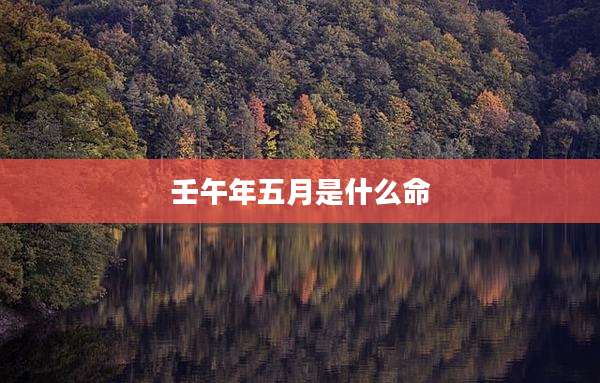 壬午年五月是什么命
