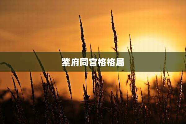 紫府同宫格格局