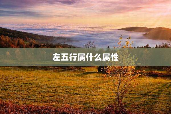 左五行属什么属性