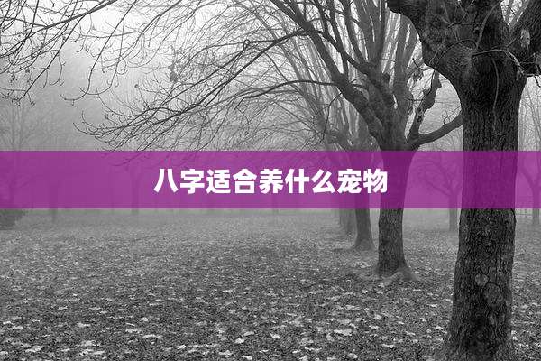 八字适合养什么宠物