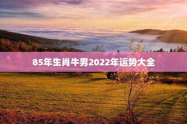 85年生肖牛男2022年运势大全
