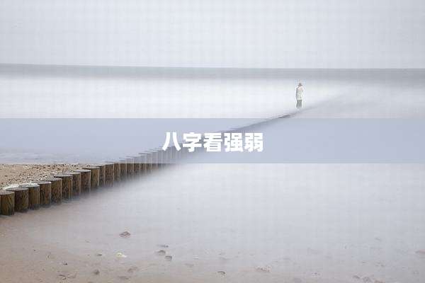 八字看强弱