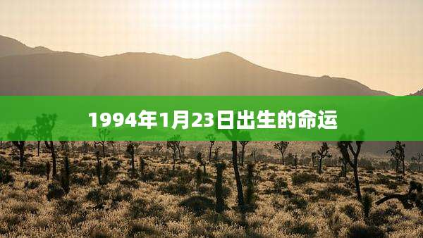 1994年1月23日出生的命运