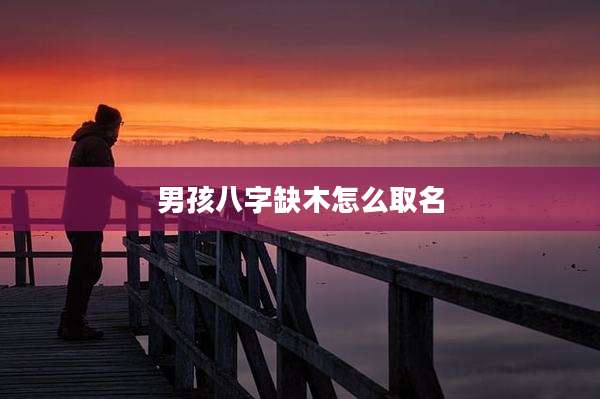 男孩八字缺木怎么取名