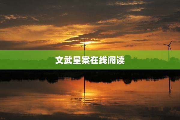文武星案在线阅读