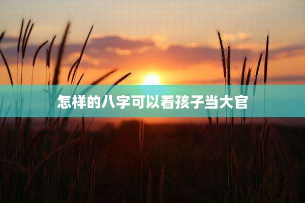 怎样的八字可以看孩子当大官