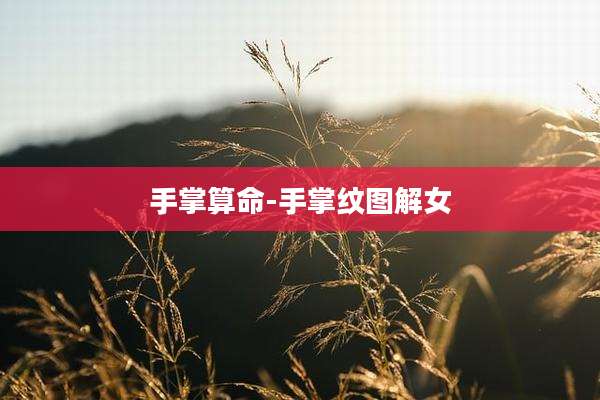 手掌算命-手掌纹图解女