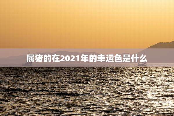 属猪的在2021年的幸运色是什么