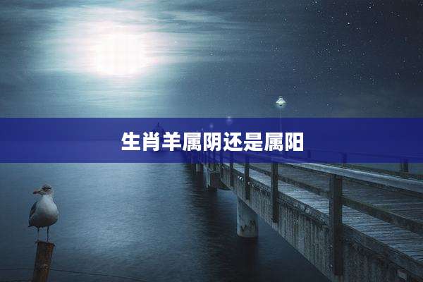 生肖羊属阴还是属阳