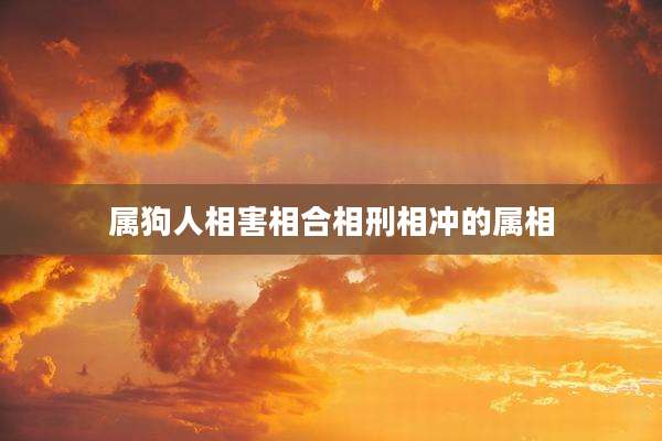 属狗人相害相合相刑相冲的属相