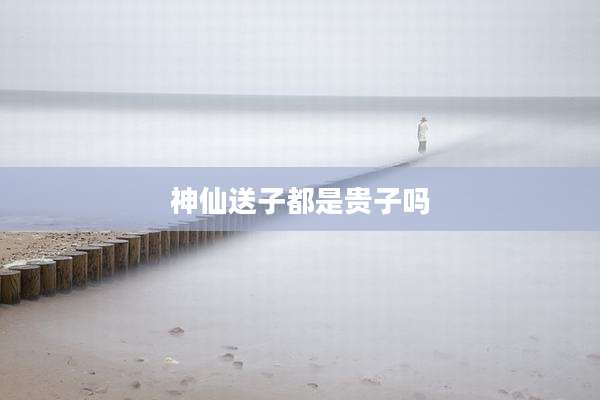 神仙送子都是贵子吗