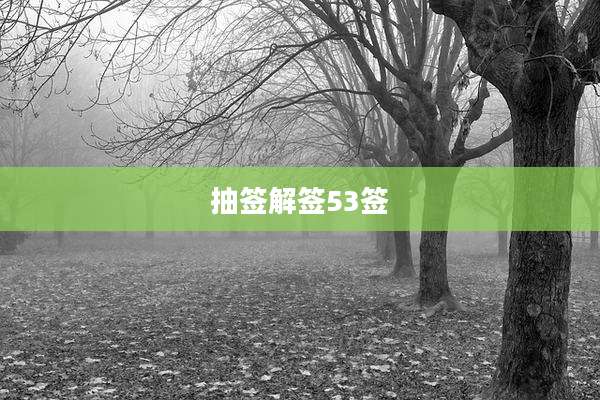 抽签解签53签