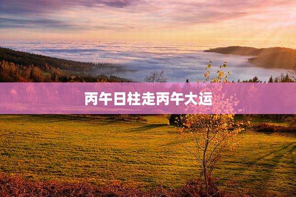 丙午日柱走丙午大运