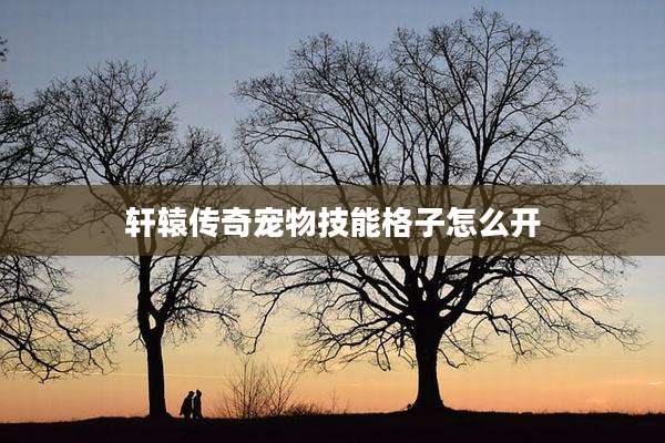轩辕传奇宠物技能格子怎么开
