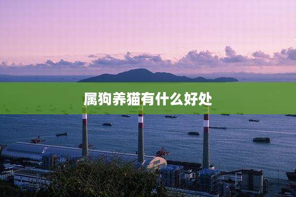 属狗养猫有什么好处
