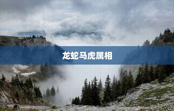 龙蛇马虎属相